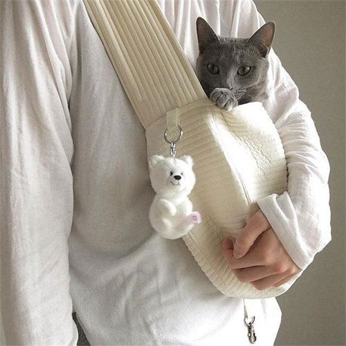 猫包外出便携宠物猫咪狗狗背包斜挎装猫的小型犬帆布包包单肩猫袋