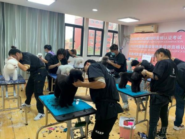  授课现场