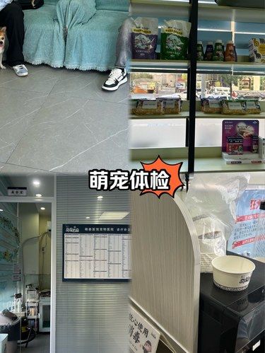宠物碎片｜萌宠体检