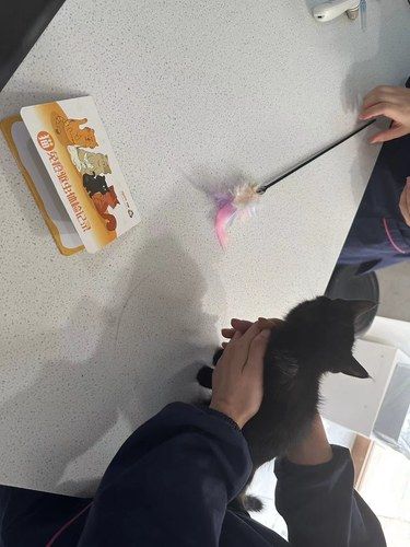 给各位铲屎官推荐一家靠谱的动物园-爱尚