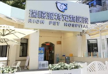 听我一句劝，领养宠物前一定要知道……
