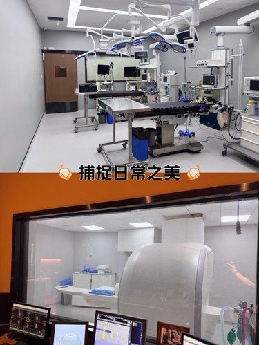 上海徐汇区宠物医院哪家最靠谱！！！[礼花][礼花]