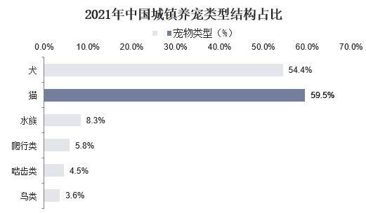 2023年寵物攝影行業投資分析：寵物攝影行業風險提高投資成功性