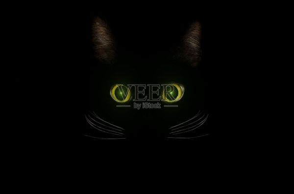 黑猫概念，黑色神秘风格。在黑暗的夜里发光的黄绿色猫眼。美丽的动物肖像。国内宠物的概念。照片摄影图片