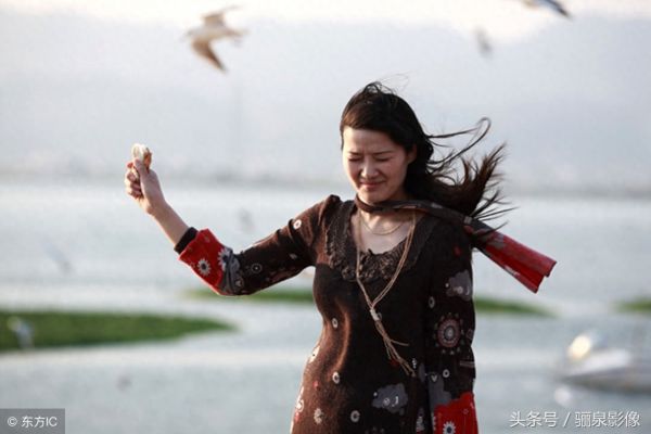 红嘴鸥 俗称水鸽子 喜爱人类 您喂食过它面包没有