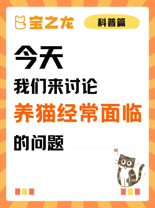第16集：今天我们来讨论——养猫经常面临的问题。乱拉乱尿问题、毛发脏乱无光泽、脾气暴躁 、频繁搞破坏。#科普 #养猫人 #萌宠出道计划