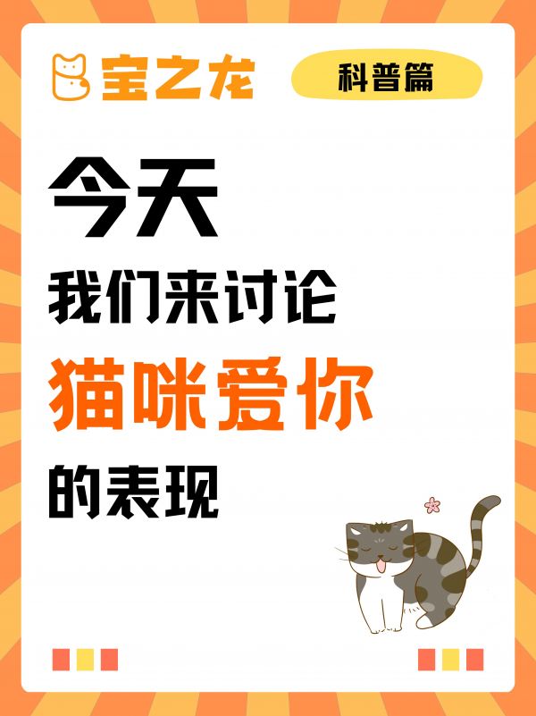 第17集：今天我们来讨论——猫咪爱你的表现。小猫咪不会说话，但是会用行动来表达!铲屎官们要学会解读猫咪的行为，误解了它可是会生气的哦~#小猫咪不会说话但他什么都懂 #爱你不止3亿遍 #萌宠出道计划 #宠物