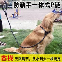 厂家直销宠物牵引绳P链尼龙狗牵引绳耐拉牵引带遛狗绳狗链子批发