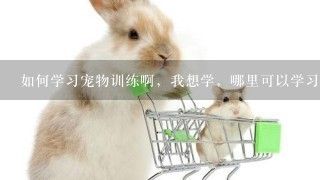 如何学习宠物训练啊，我想学，哪里可以学习的