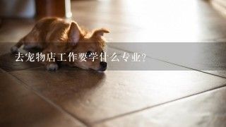 去宠物店工作要学什么专业？