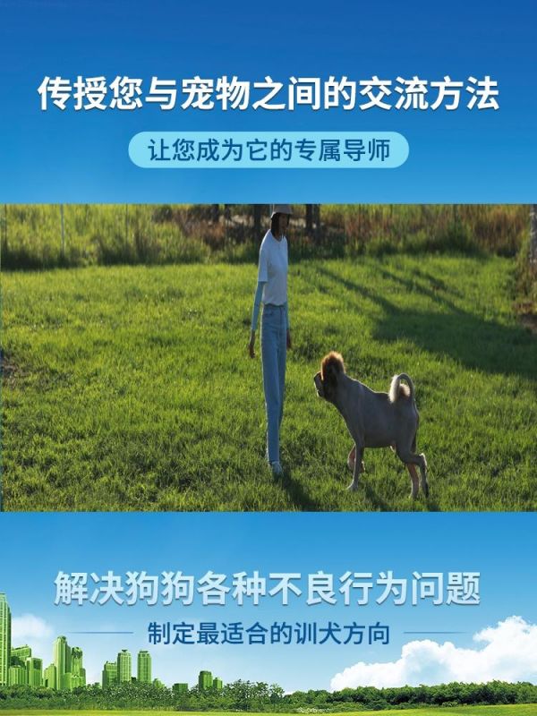 两个月小狗训练，个性化训练，根据宠物的特点制定专属训练方案。可服务范围 温州市 苍南县 平阳县 龙港市 瑞安市 乐清市 泰顺县 福鼎市 文成县 #两个月小狗训练 #狗训练 #宠物狗如何训练 #宠物的训练 #博美狗狗训练