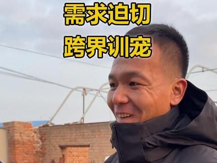 猛犬需求迫切，潘宏跨界训宠 #潘宏爱玩狗