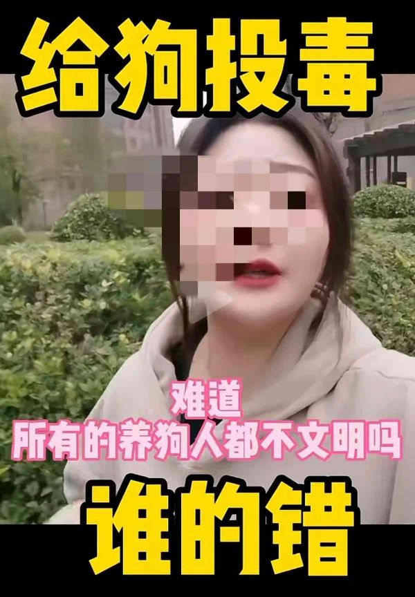 全方位宠物犬文案攻略：涵养狗必备知识、训练技巧与日常护理指南