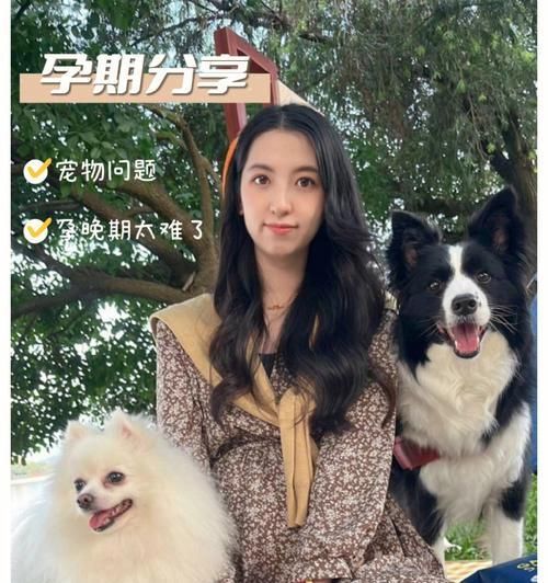 孕妇抱小狗安全吗（探究孕妇和宠物之间的互动是否有危险）