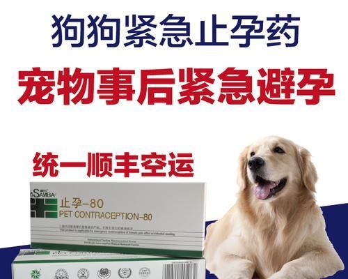 狗狗全身痒怎么办（全面解析狗狗全身痒的原因及治疗方法）