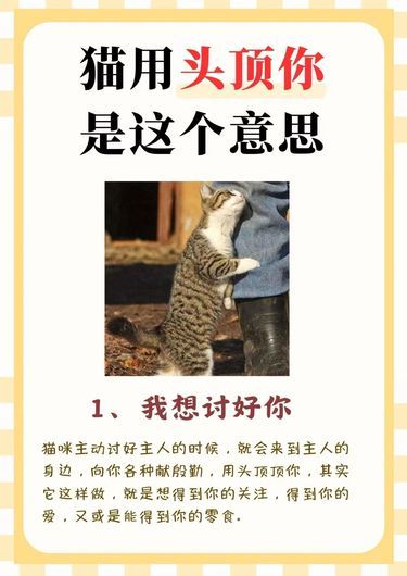 想变聪明？你得学会这招