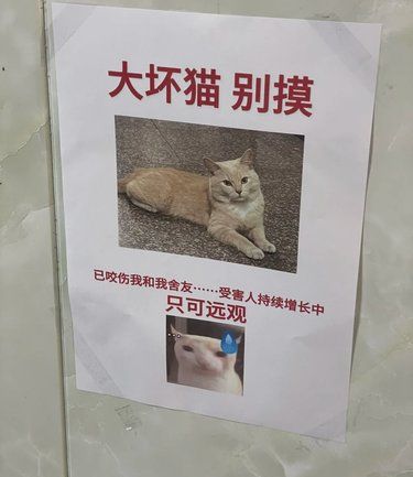 凶手会再次回到案发现场