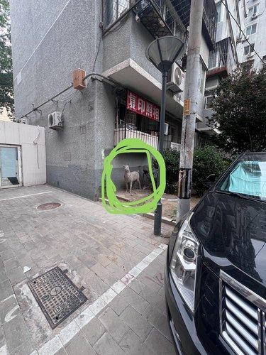 谁家遗弃的孩子？