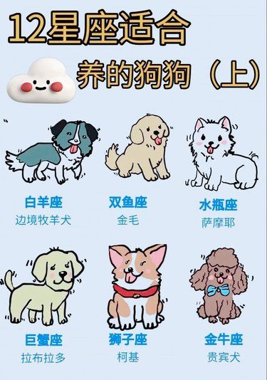 不同星座适合养的狗狗