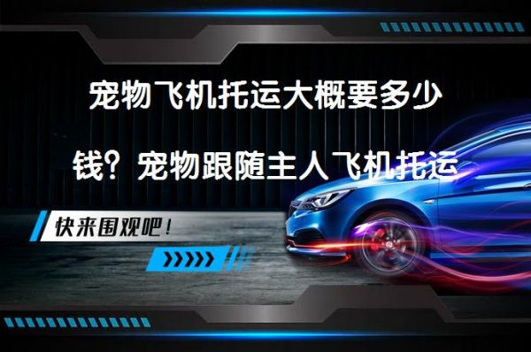 宠物飞机托运大概要多少钱？宠物跟随主人飞机托运费用如何计算？_58汽车