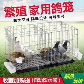 鸽子笼家用养殖笼鸽子配对笼大号鸽子笼家用带隔断繁殖养殖鸽笼清