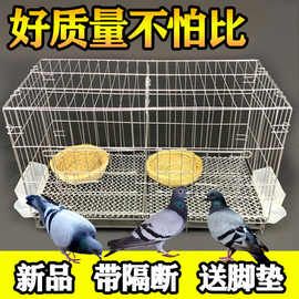 鸽子笼家用配对养殖全套笼子不锈钢色大型白鸽信鸽铁折叠鸟笼鸽笼
