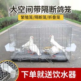鸽子笼配对笼繁殖鸽子笼家用养殖鸽子笼折叠加密笼运输鸽笼可代发