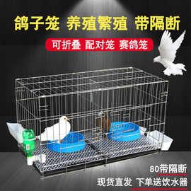 鸽笼室内家用鸽子笼繁殖配对80带隔断信鸽金属鸽笼运输笼折叠加粗