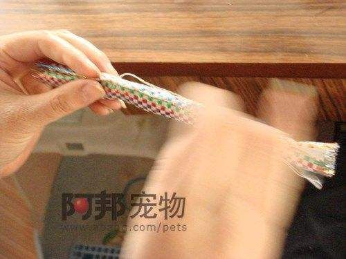 怎样制作猫咪玩具木天蓼糖果棒