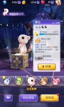 天天酷跑3D忍狐辉夜宠物宝物滑翔伞搭配推荐攻略