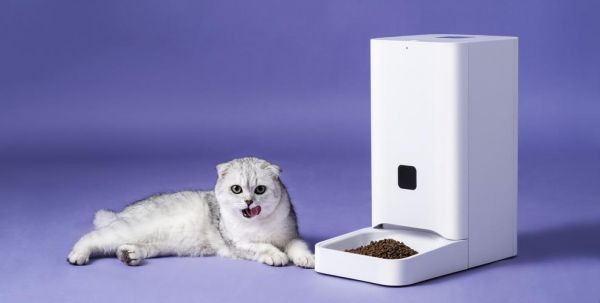 宠物摄影的器材,宠物摄影的器材有哪些