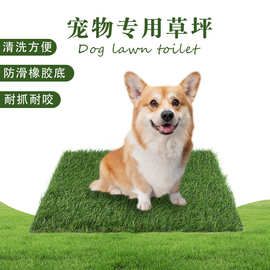 亚马逊跨境新品宠物草垫宠物地垫狗狗玩耍定点趴窝可清洗批发草垫