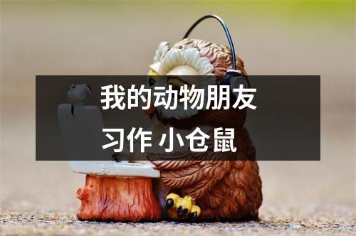 我的动物朋友习作 小仓鼠