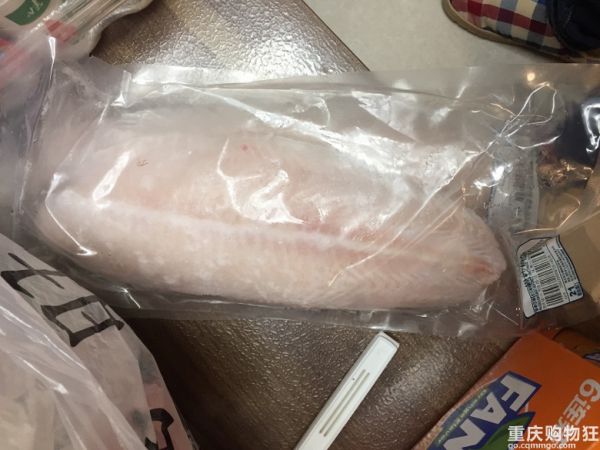 送给狗狗的新年礼物！