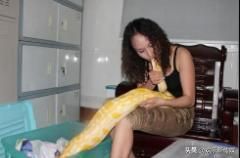 盘点八大养不起的宠物 老虎仅排名第三