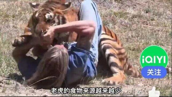 文章图片7