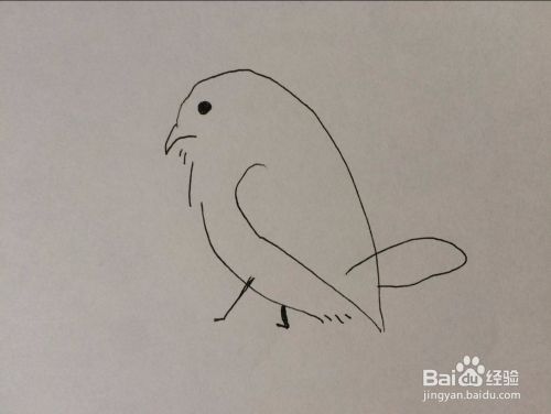 简笔画相思鸟的画法