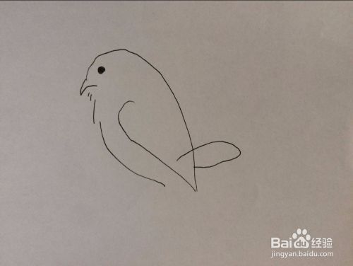 简笔画相思鸟的画法