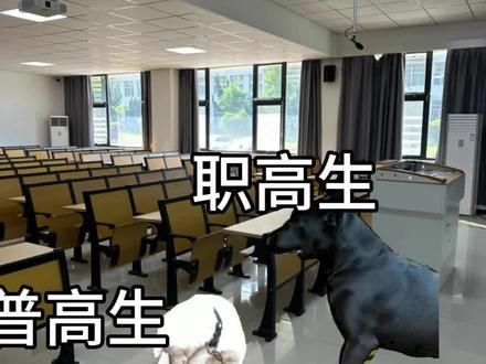 当你在大专上专业课时#大专 #大学开学 #自考本科 #自考资料 #专升本 
