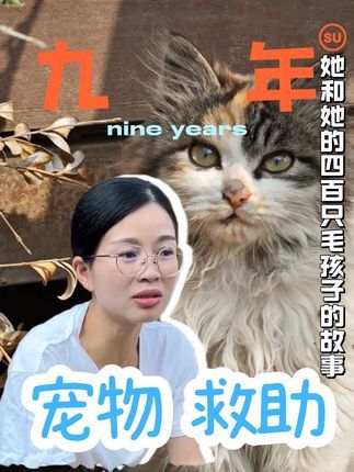 宠物医生.:她和她400只毛孩子的故事,“它们本来绝境中等待s亡一步步逼近,直到那天遇到了心软的神”#遇小优猫粮#遇小优流浪猫救助计划#流浪猫#流浪猫救助#流浪猫庇护所