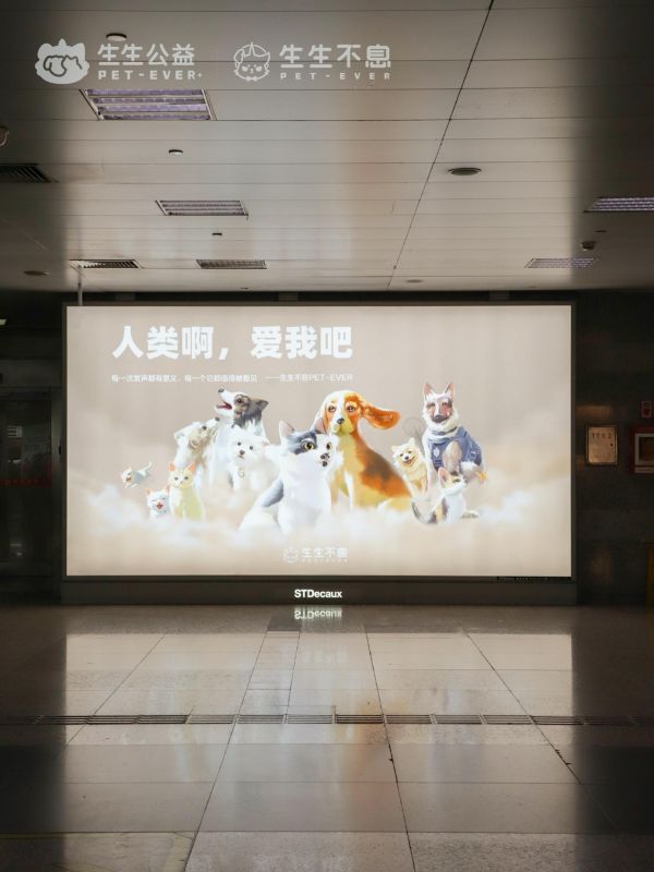 生生不息宠物食品:在上海地铁站投放我们的使命和希望。去年,我们以奶牛猫的形象呼吁「拒绝虐待,有法可依」 收获了许多坚定的回声。 今年,我们继续为推动《反虐待动物法》而发声。 呼吁文明养宠,拒绝虐待,抵制伤害, 呼吁更多人加入到发声阵列。 我们相信: 每一次发声都有意义, 每一个它都值得被看见。 感谢每一位同行的你, 让它们再次被看见, 让爱与正义,生生不息。 “人类啊,爱我吧” #生生不息 #生生不息公益 #上海地铁 #呼吁推进反虐待动物法立法 #给它生生不息的爱