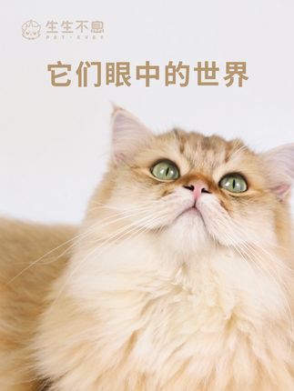 生生不息宠物食品:猫狗眼中的世界和我们大不相同 它们的小小世界里,黑白灰才是主色调 生生不息的产品设计也考虑到了它们的色彩感知 想让它们的生活多一些色彩 想让它们感知到多一点温度与情绪 它们为我们的生活增添了一份独有的色彩 我们也要把爱的色彩留给它们 生生不息的爱,会一直灿烂下去 #给它生生不息的爱 #主食冻干 #猫狗眼中的颜色 #小猫咪能有什么坏心眼