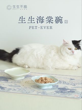 生生不息宠物食品:超有“饭张力”的碗,满满的用餐仪式感!生生不息周边限时礼已上架 #生生不息周边 #生生海棠碗 #给它生生不息的爱 #宠物陶瓷碗 #618