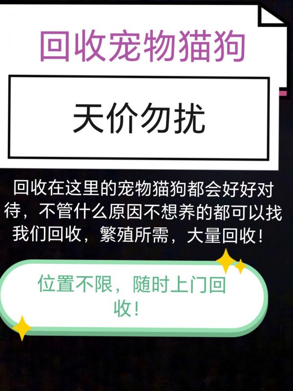 专业回收宠物猫狗！天价勿扰！家有各种原因不想养的宠物猫狗，看到这里的都可以来这里回收！ 常年回收，狗场建设，大量回收各种宠物猫狗！ 天价的勿扰！ 位置不限，全国回收！