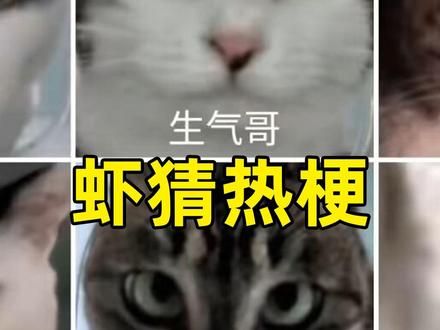 街猫全英雄vs街猫刷怪笼#梗 #猫 #断网补全计划