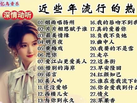 网络流行歌曲精选