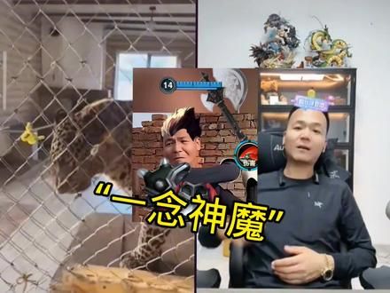 #被迫营业的猫猫