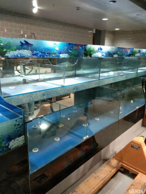 合肥宠物用品/食品·合肥专业厂家定制酒店超市移动式海鲜生鲜鱼缸定制