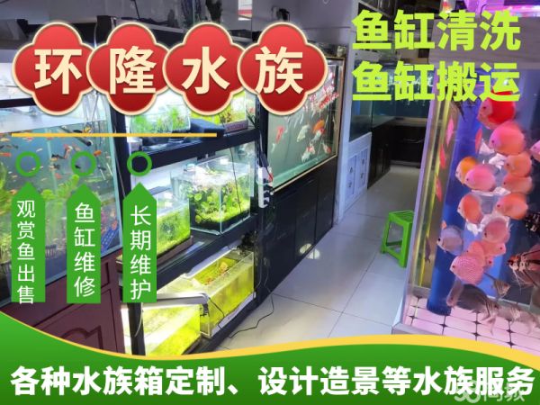 合肥庐阳区环隆水族馆·各种大中小型鱼缸定制 水族箱定制 家庭 公司长期提供清洗业务