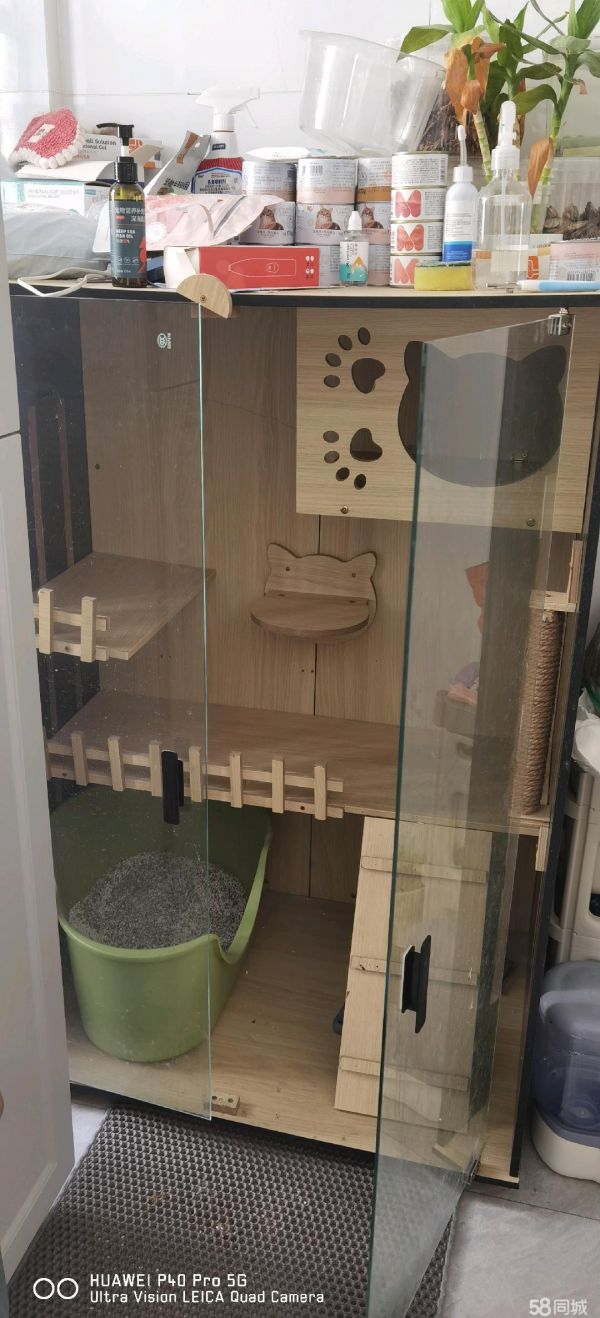 合肥宠物用品/食品·猫咪别墅房